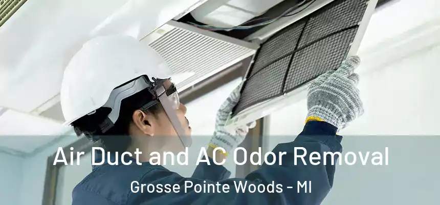  Air Duct and AC Odor Removal Grosse Pointe Woods - MI