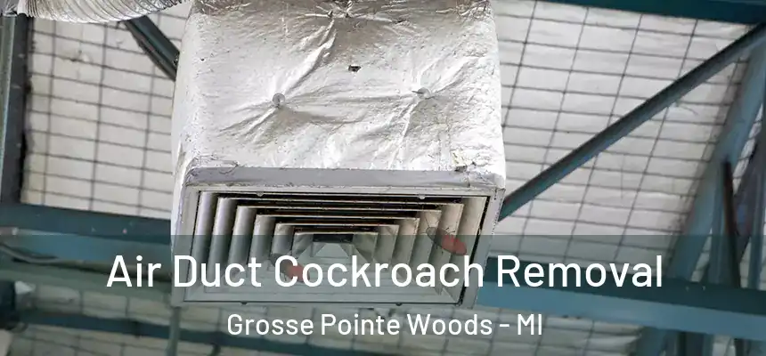  Air Duct Cockroach Removal Grosse Pointe Woods - MI