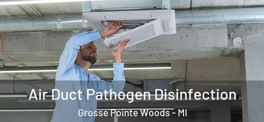  Air Duct Pathogen Disinfection Grosse Pointe Woods - MI