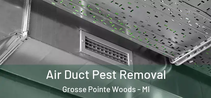  Air Duct Pest Removal Grosse Pointe Woods - MI