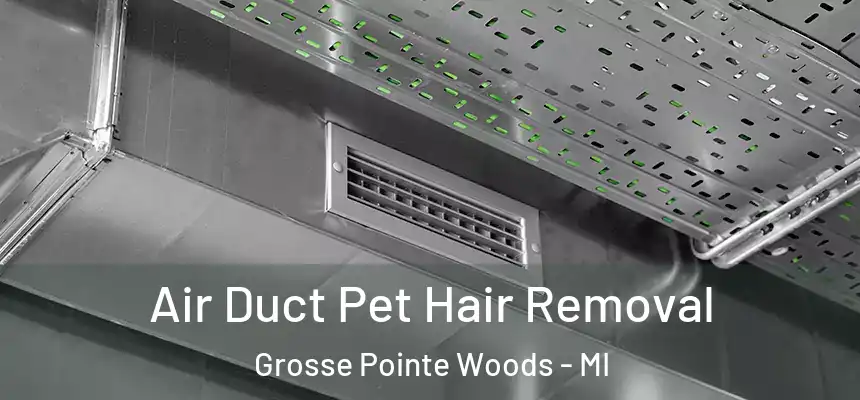  Air Duct Pet Hair Removal Grosse Pointe Woods - MI