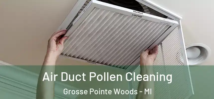  Air Duct Pollen Cleaning Grosse Pointe Woods - MI