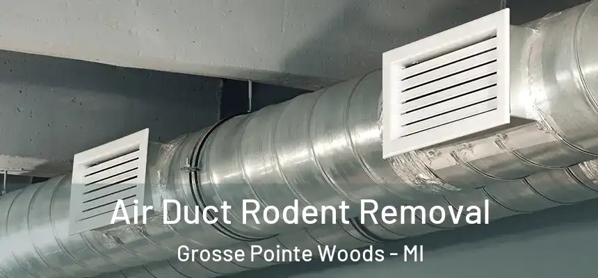  Air Duct Rodent Removal Grosse Pointe Woods - MI