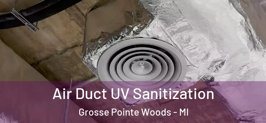  Air Duct UV Sanitization Grosse Pointe Woods - MI