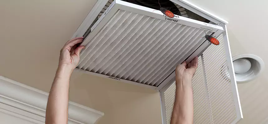 Preventive Cockroach-Proofing for Ducts in Grosse Pointe Woods