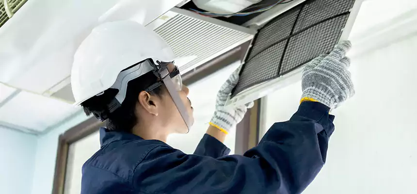 Our Mold & Mildew Removal from Air Ducts Services in Grosse Pointe Woods, MI