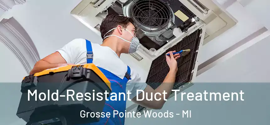  Mold-Resistant Duct Treatment Grosse Pointe Woods - MI