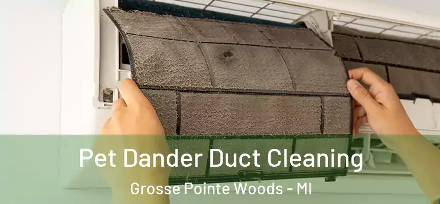  Pet Dander Duct Cleaning Grosse Pointe Woods - MI