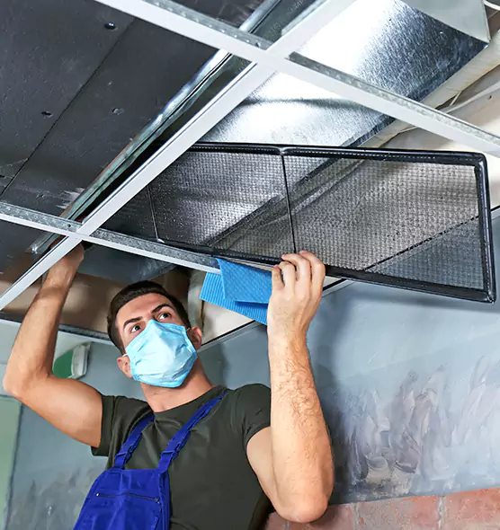 About Air Duct Bacteria Removal in Grosse Pointe Woods