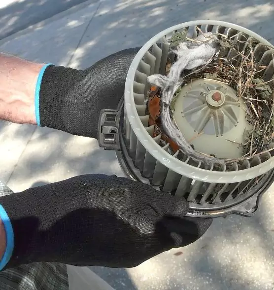 About Air Duct Mice Removal in Grosse Pointe Woods, MI