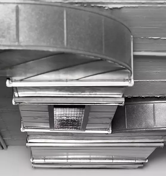 Professional Air Duct Pest Removal in Grosse Pointe Woods, MI