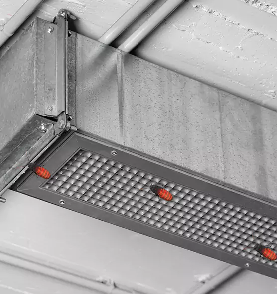 Affordable Insect Removal from Air Ducts in Grosse Pointe Woods, MI